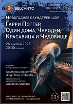 Концерт «Новогоднее Саундтрек-шоу. Гарри Поттер, Один дома, Чародеи, Красавица и Чудовище»