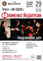 Концерт Проект «На сцене». «Танцевальное шоу. Фламенко Андалусии»