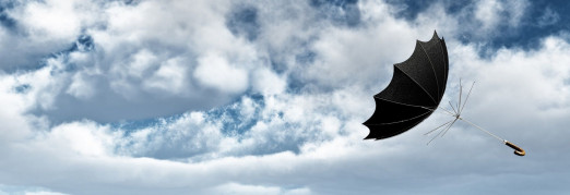 Концерт «День ветра. Ночь в соборе. Орган, рояль, флейта, скрипка, эбру»