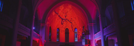 Концерт «Музыка стихий. Цветение сакуры. Орган и голос при свечах»