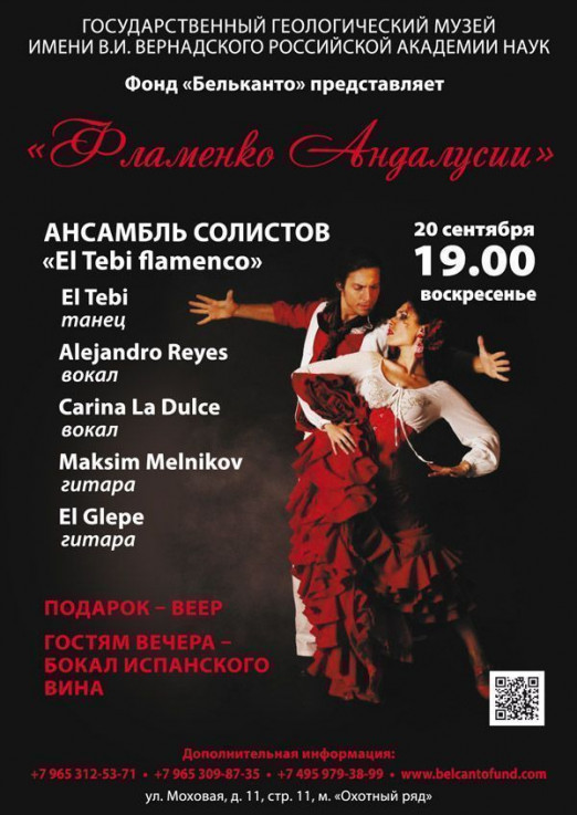 Концерт Фламенко Андалусии